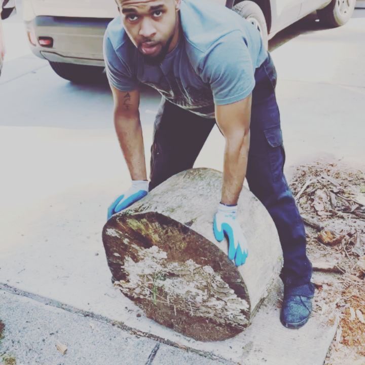 Post by thesilverbacknation