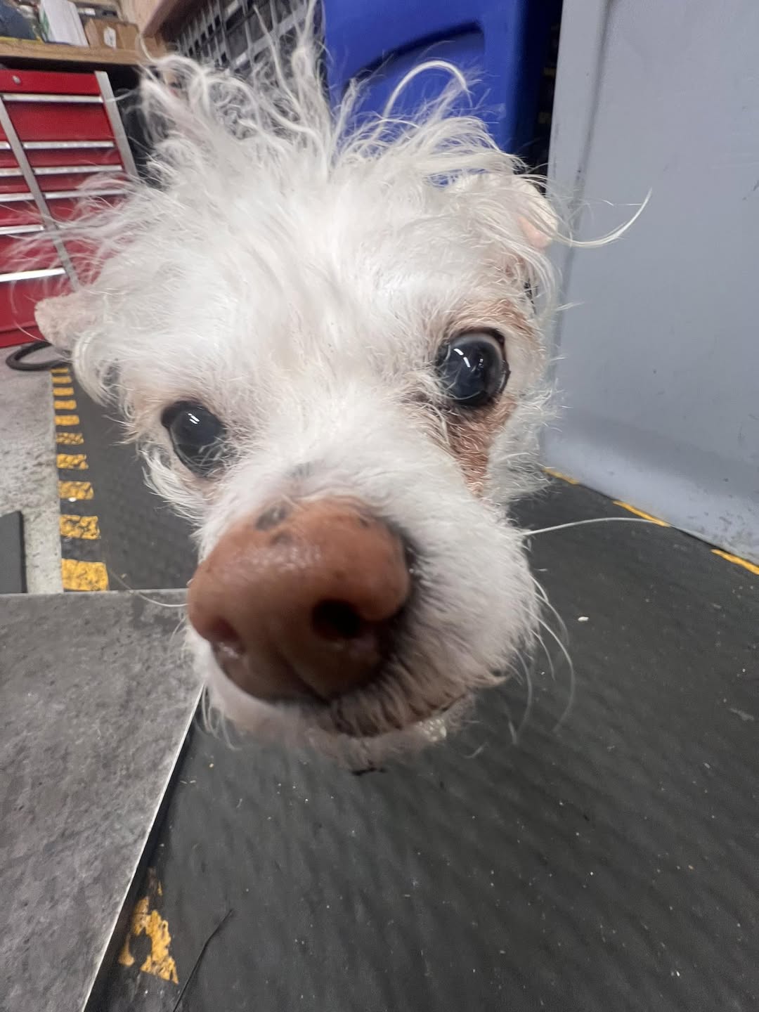 Post by Mend Bicycles