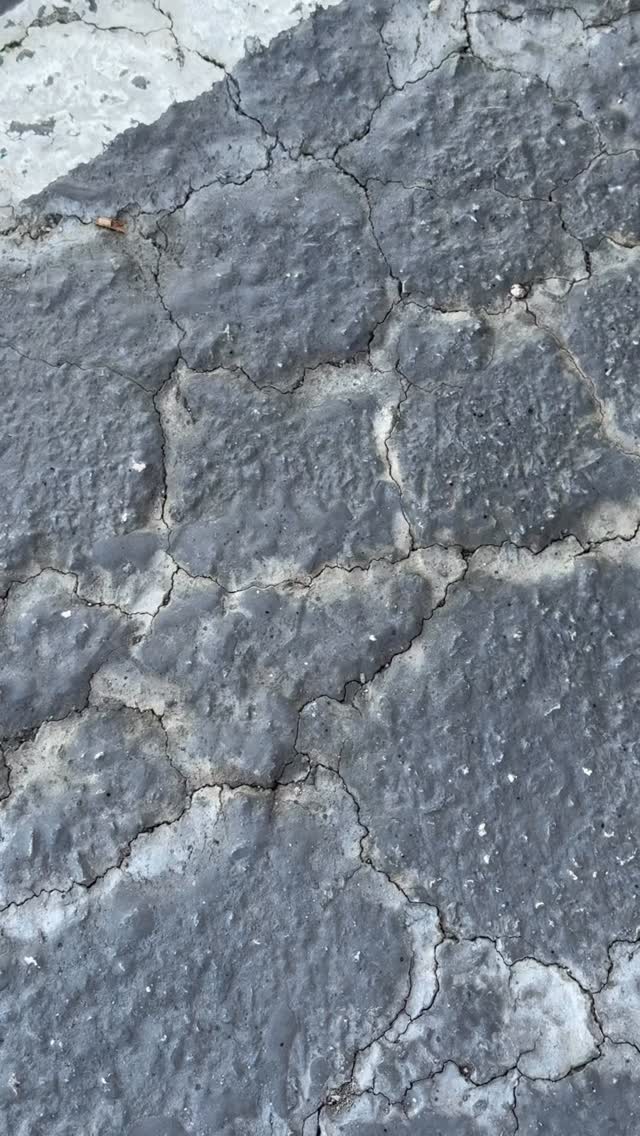 Post by land_of_enchanted_eats