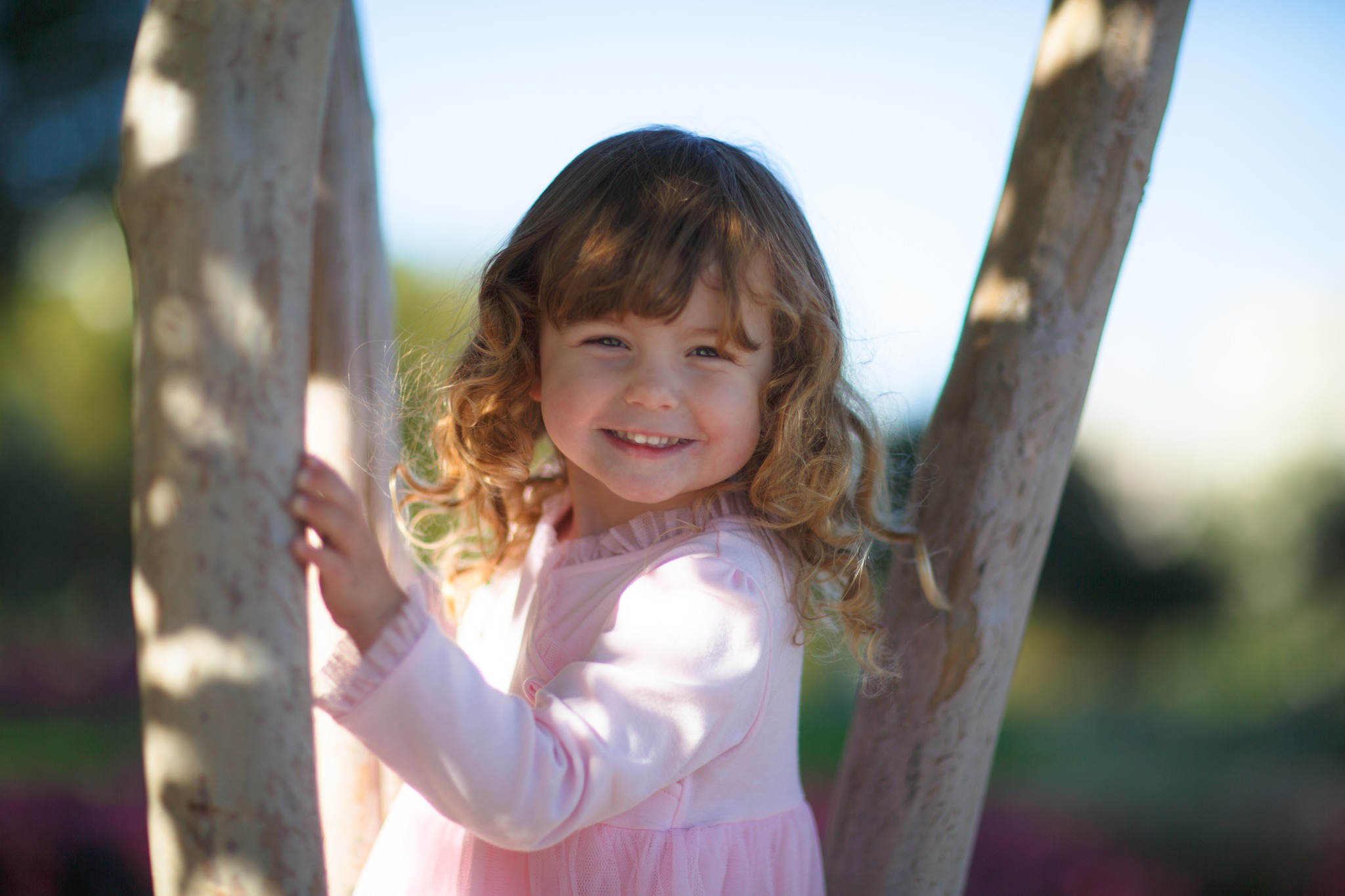 Nicole Harkin Photography