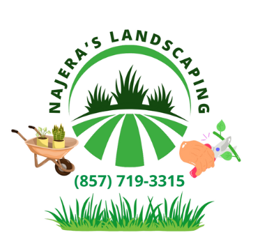 Najera's Landscaping logo