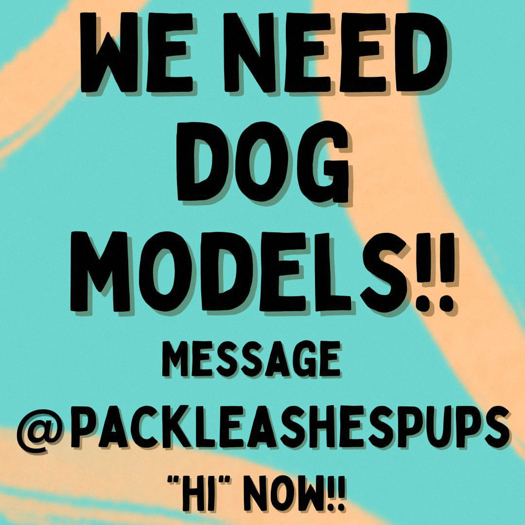 Post by fatmaroediger737