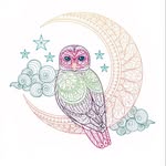 midnightowlofchester