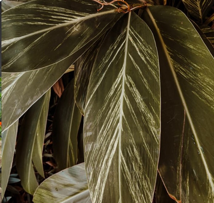 Post by glowoutsalons