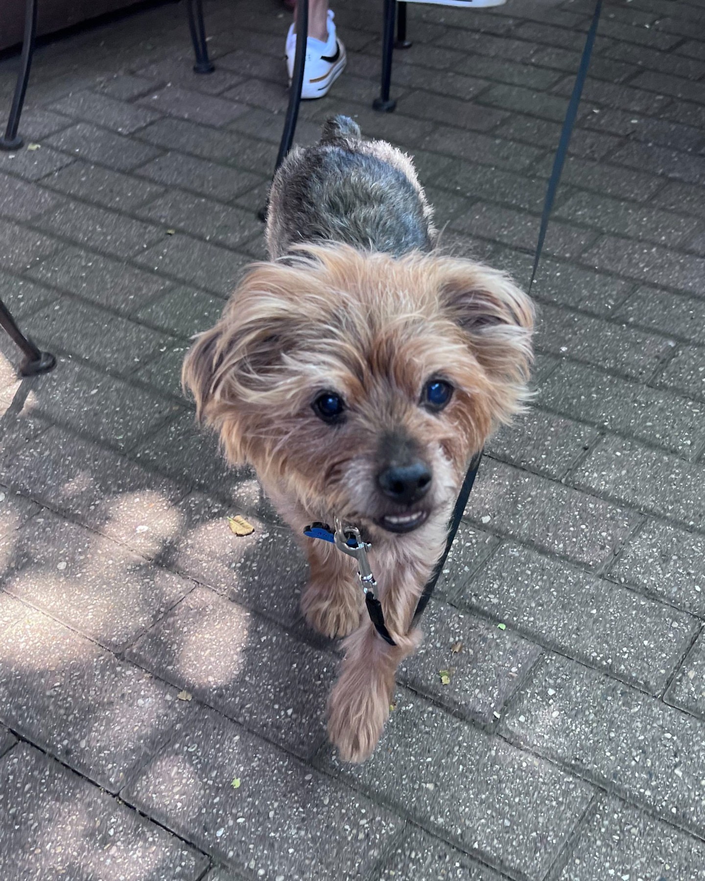 Post by imstevedavis