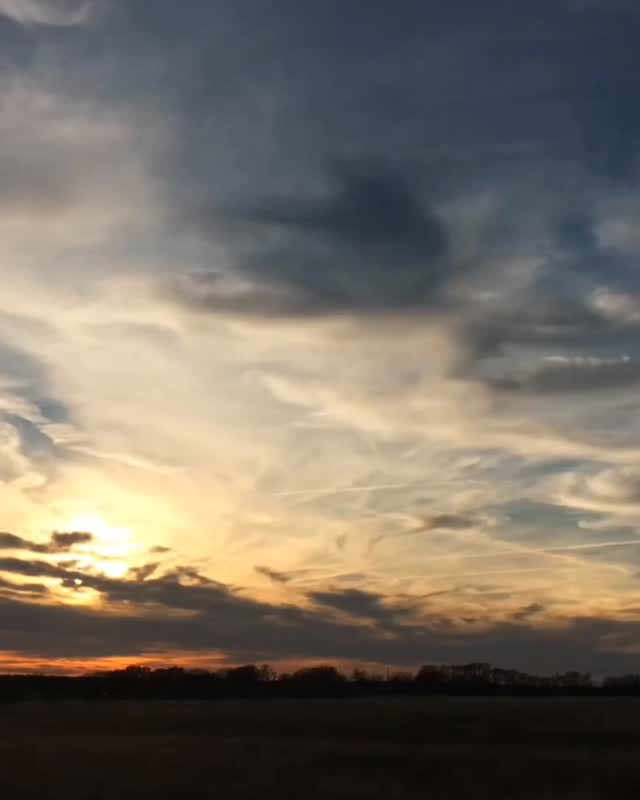 Post by the_white_oracle