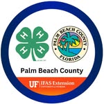 palmbeach4h