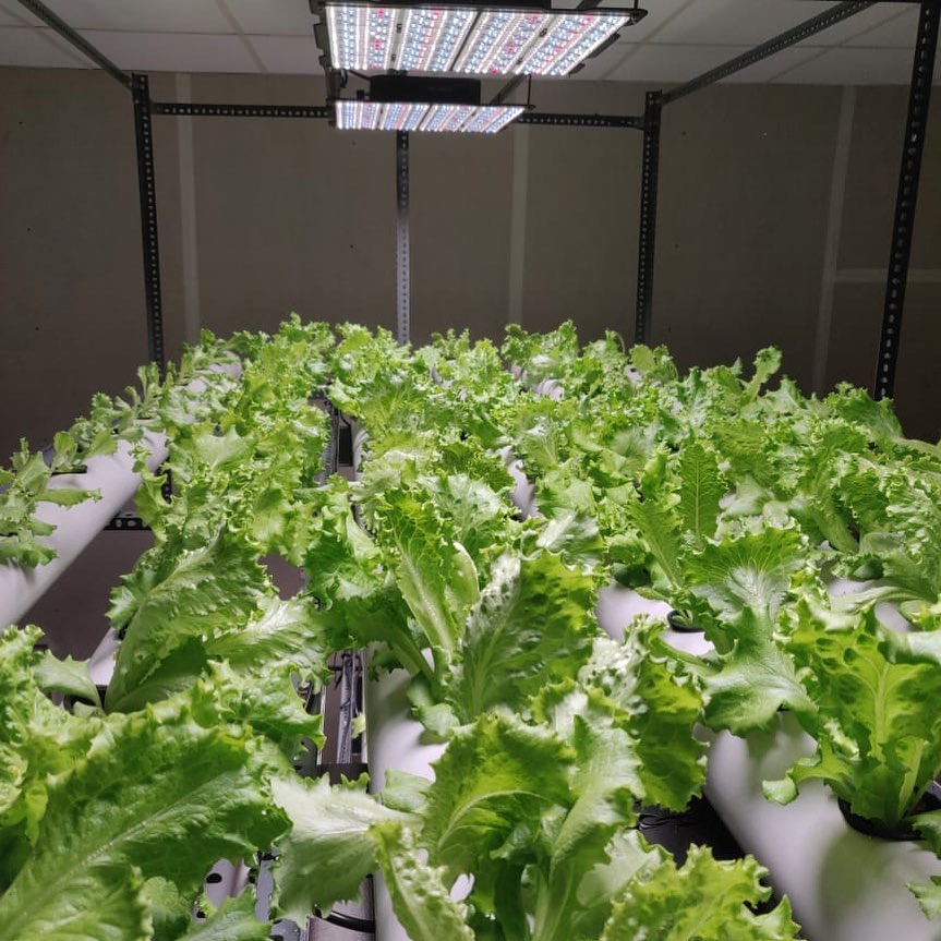 Post by blazenphotonics