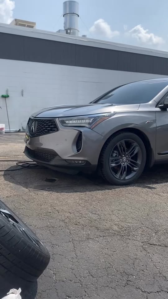 Post by Cougar Knickerbocker