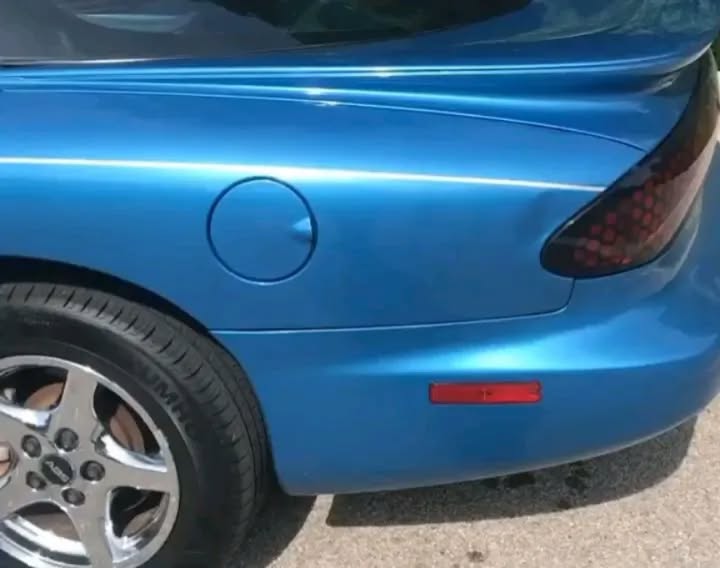 Post by fbodysforever