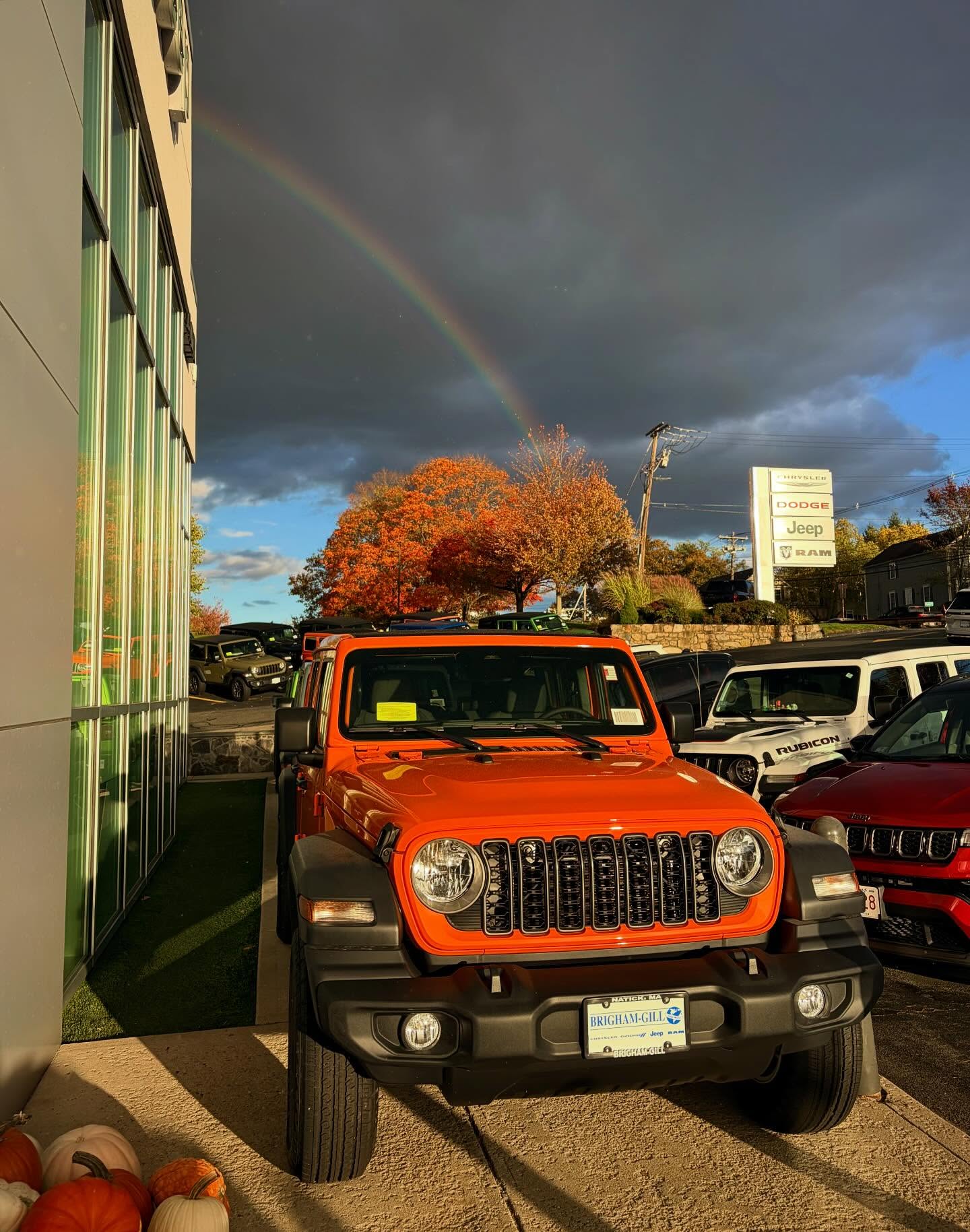 Post by jeepedupwithjimd