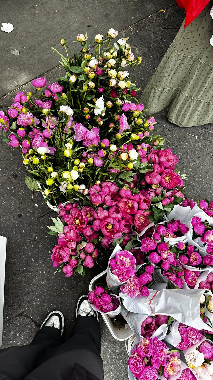 Post by tarlanraaad.dds