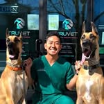 dr.kimpawsible