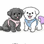 thelittlepnwpups