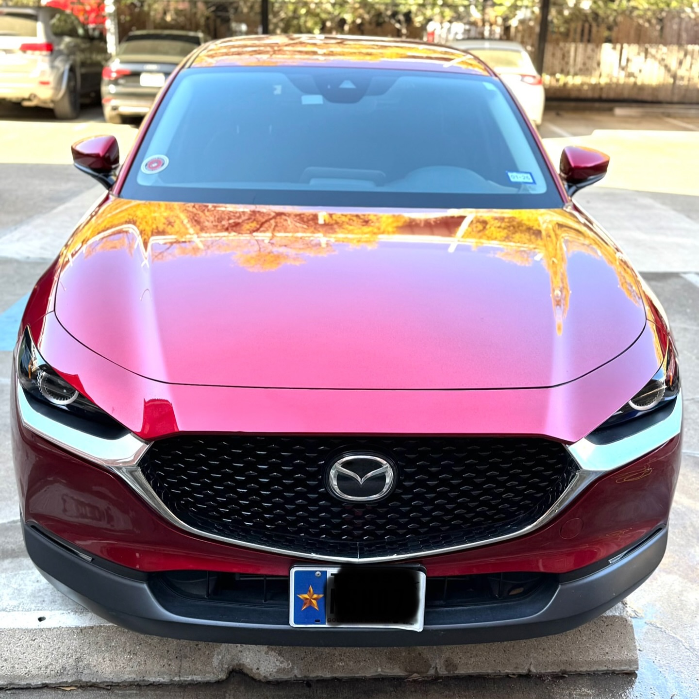 Post by reflectautohtx