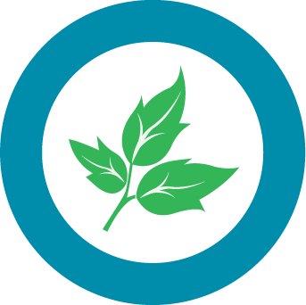 Zero Waste Solutions, Inc.