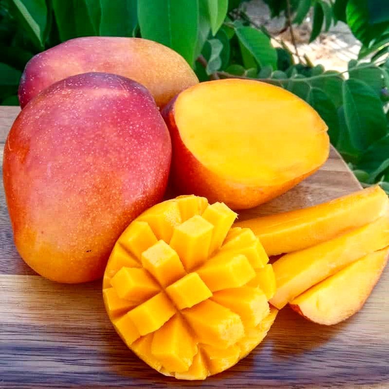 Post by bigbite.snacks