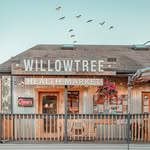 willowtreebainbridge