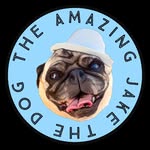 theamazingjakethedog