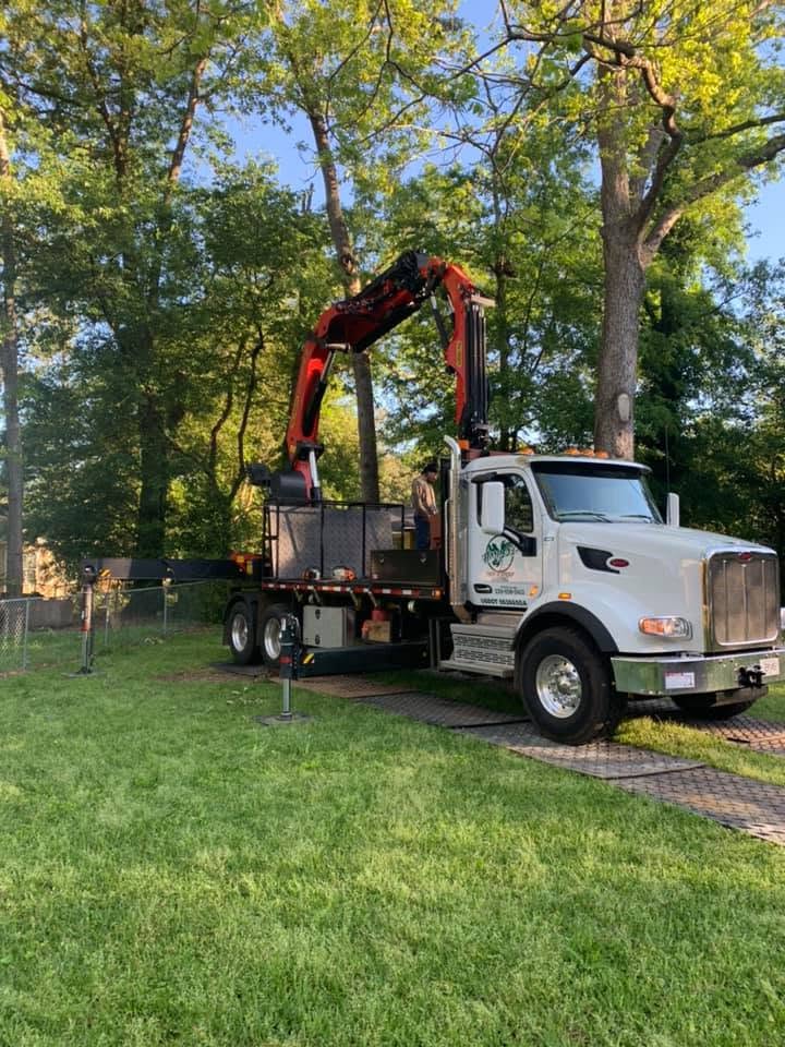 Harper's Tree and Stump Removal 
