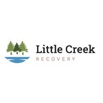 littlecreeklodge