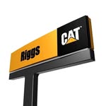 riggscat