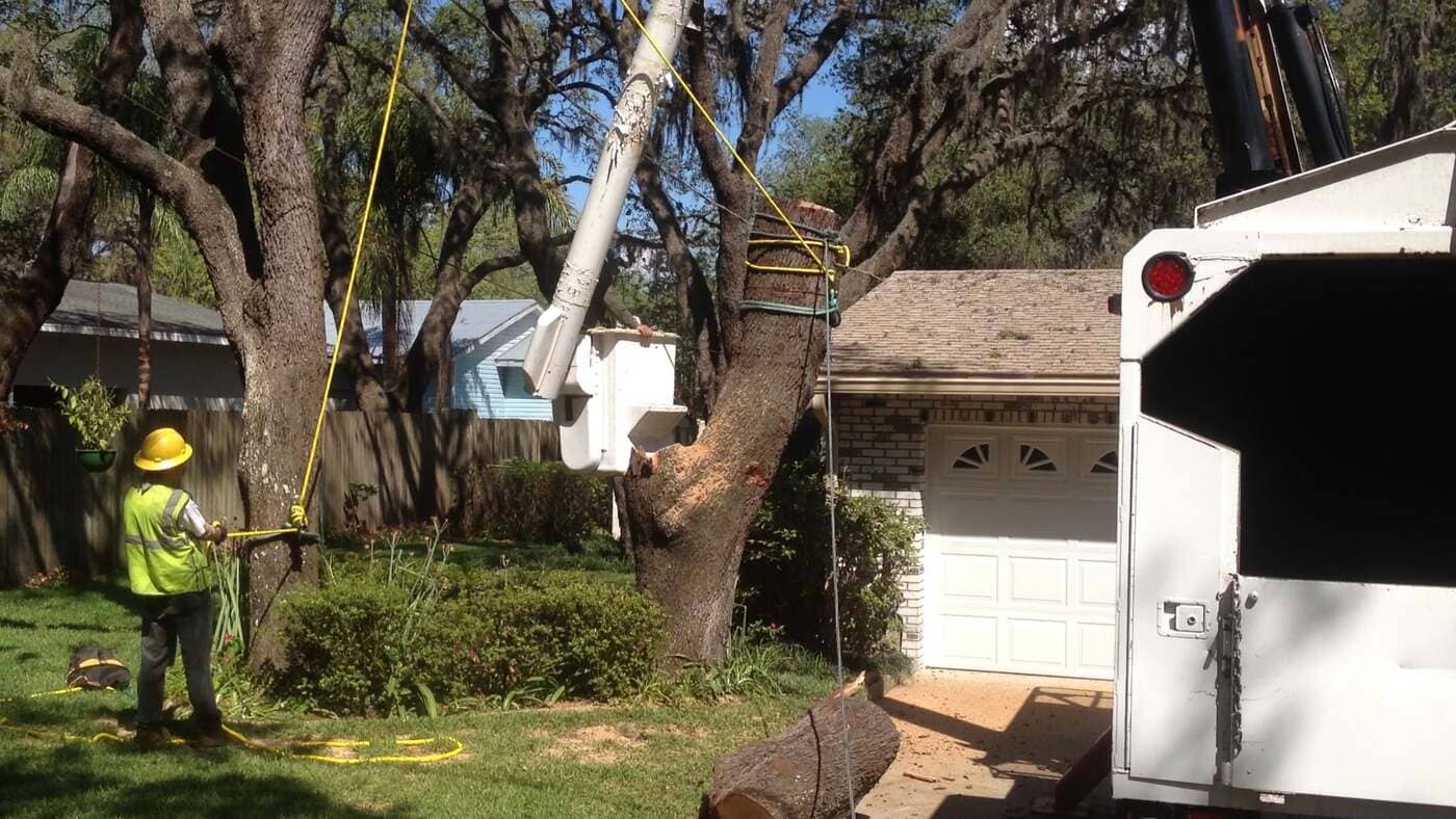 Durham's Tree Service