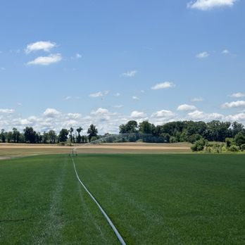 Premier Turf Farms logo