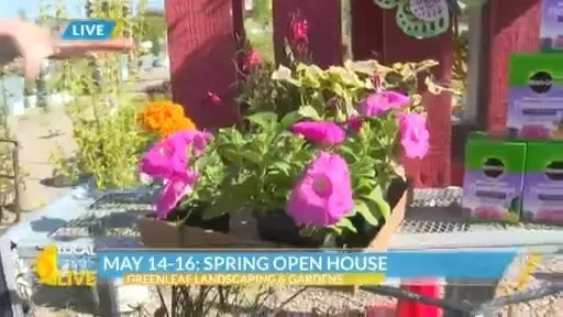Greenleaf Landscaping & Gardens combines plants, events, and boutique shopping