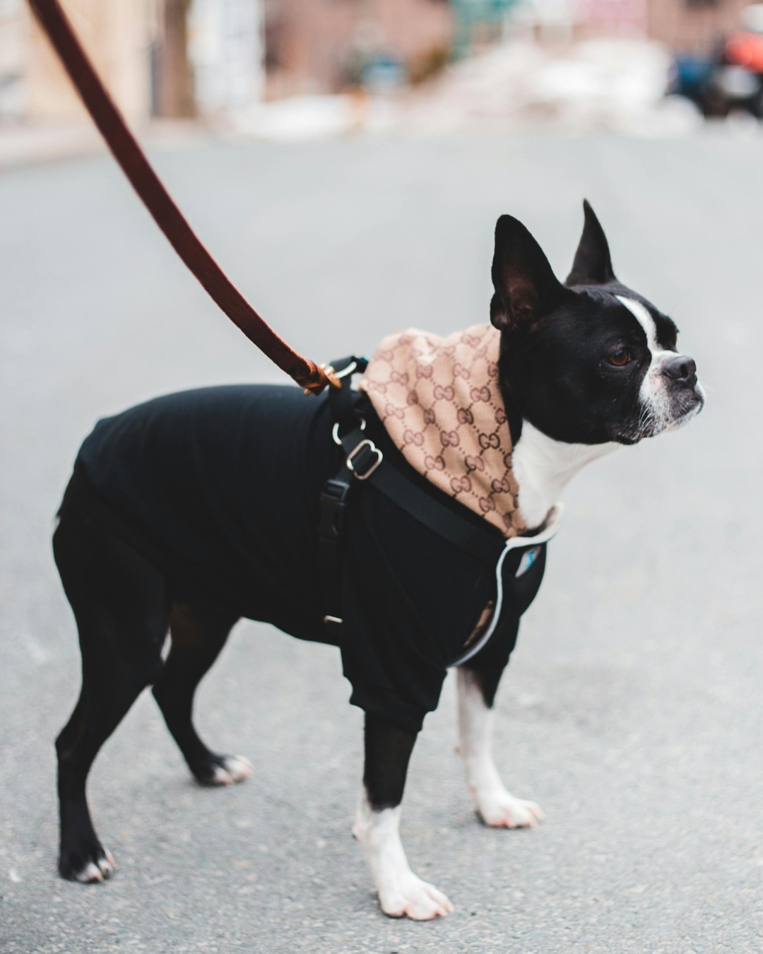 Post by westvillagechatt