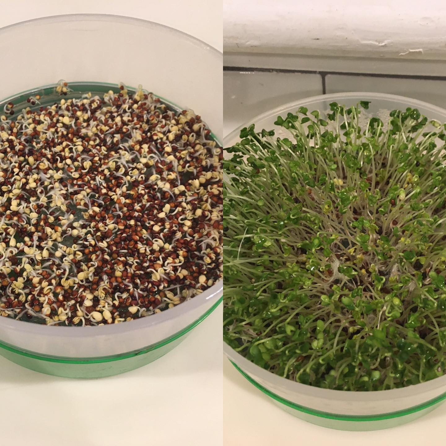 Post by the.eco.dude