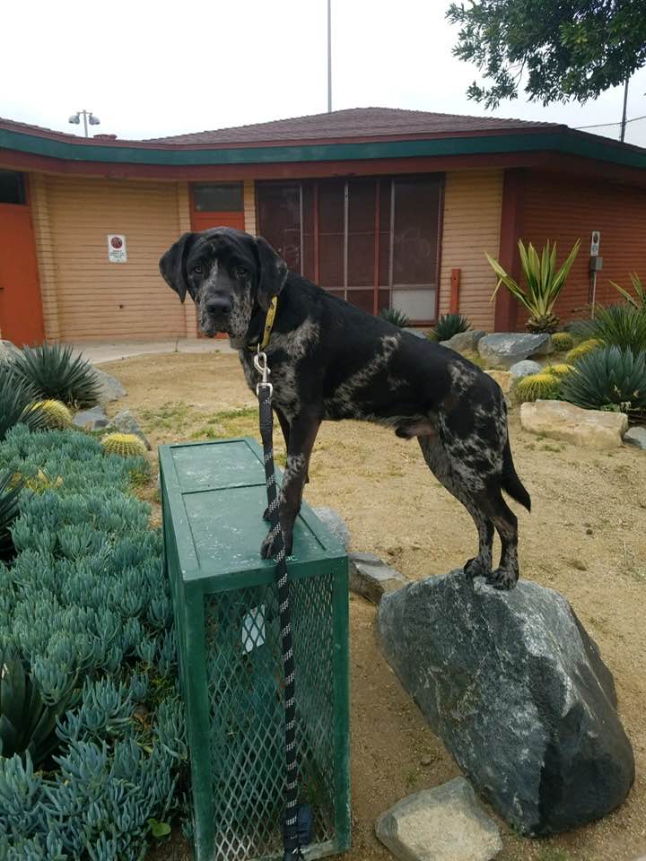 Post by Jennifer Sadoski