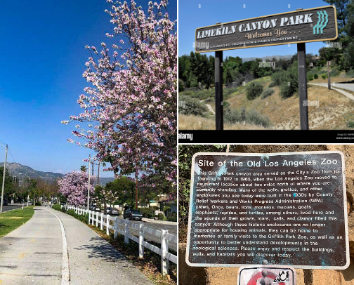 Best Running Spots in the Valley cover photo collage