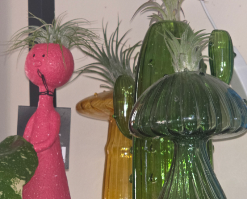 Actual plants cover photo collage