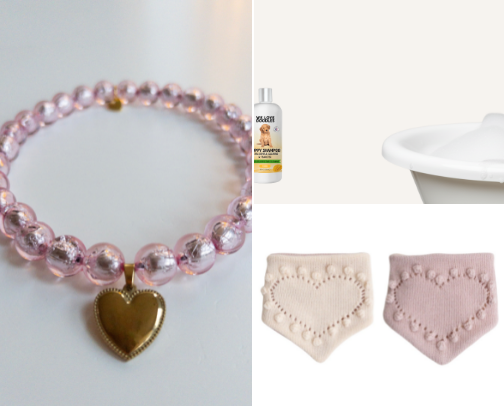 Everything Your Doodle Dog Needs to Thrive 🐾 cover photo collage