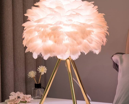 Feather table lamp cover photo collage