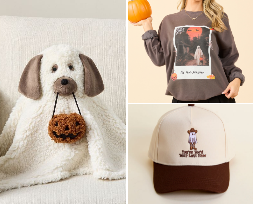 Spooky Season & Halloween Finds cover photo collage