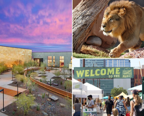 Phoenix Activities For The Girls cover photo collage