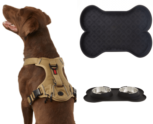 pet accessories cover photo collage