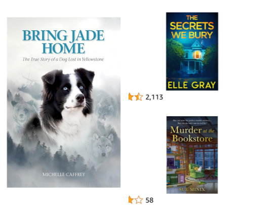 “Books You Won’t Be Able to Put Down” cover photo collage