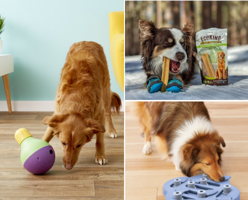 Dog Must Haves cover photo collage