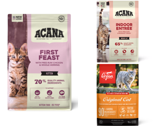 everything you need for your cat cover photo collage