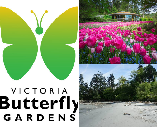 Top To Do's in Victoria BC cover photo collage