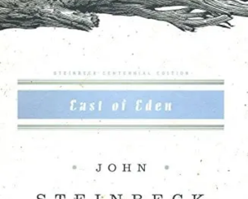 My favorite book recs cover photo collage