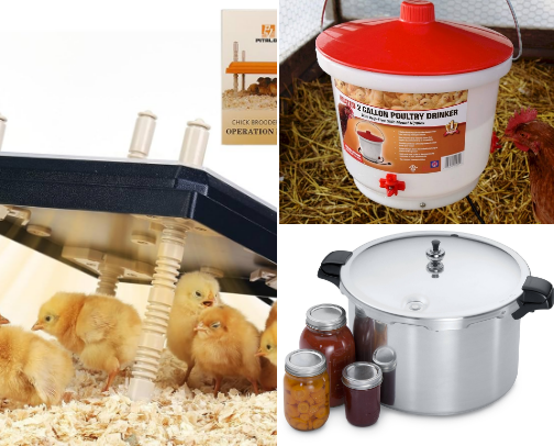 Beginning Homesteader Basics cover photo collage