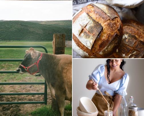 Best Sourdough Blogs cover photo collage