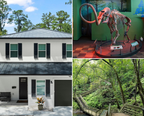 Gainsville Florida, GOGATORS!! cover photo collage