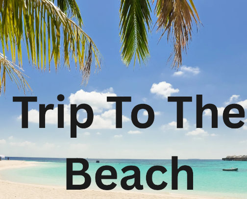 Trip To The Beach cover photo collage