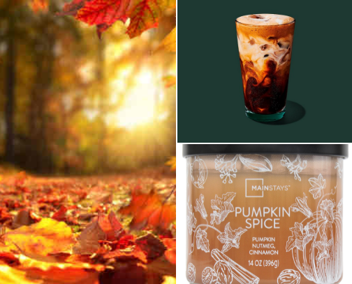 September Favorites cover photo collage