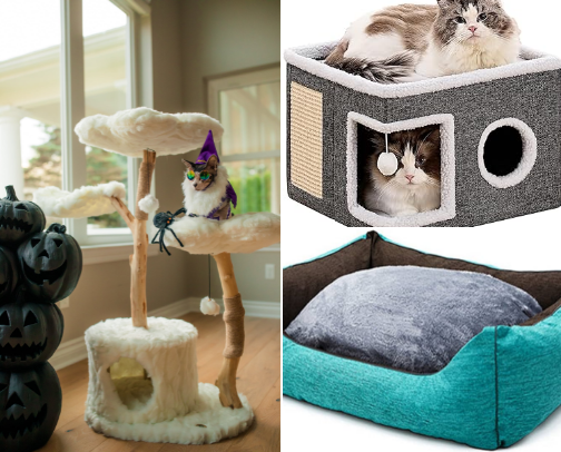 Fur babies cover photo collage